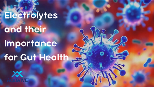 Why Do Sea Minerals Work for Supporting Gut Health?