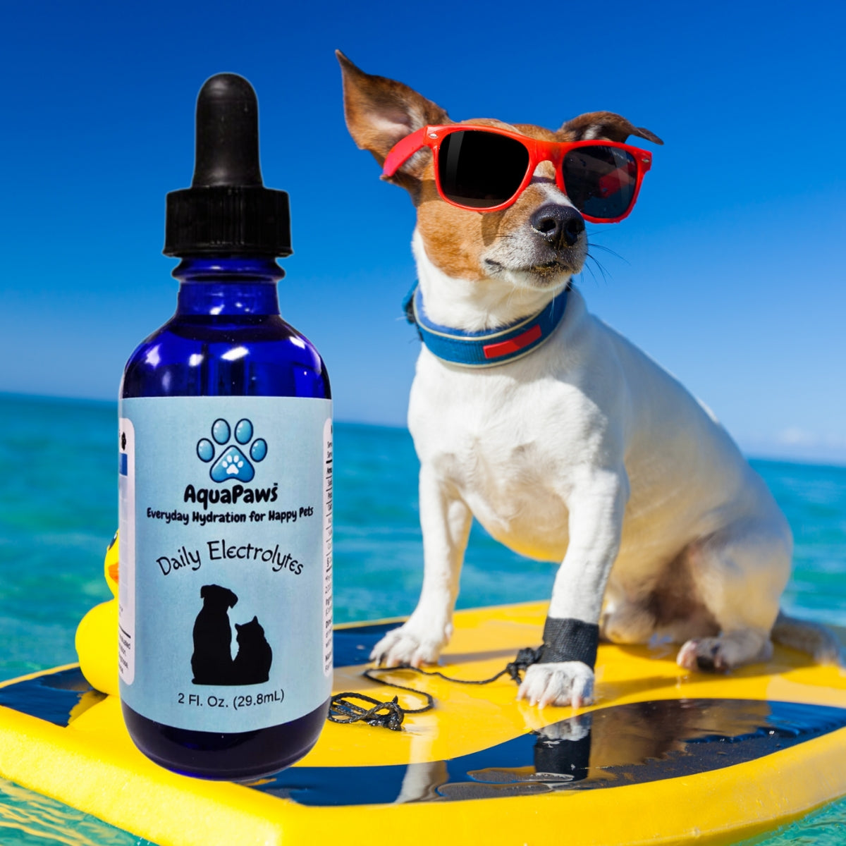 AquaPaws™ Pet Electrolytes