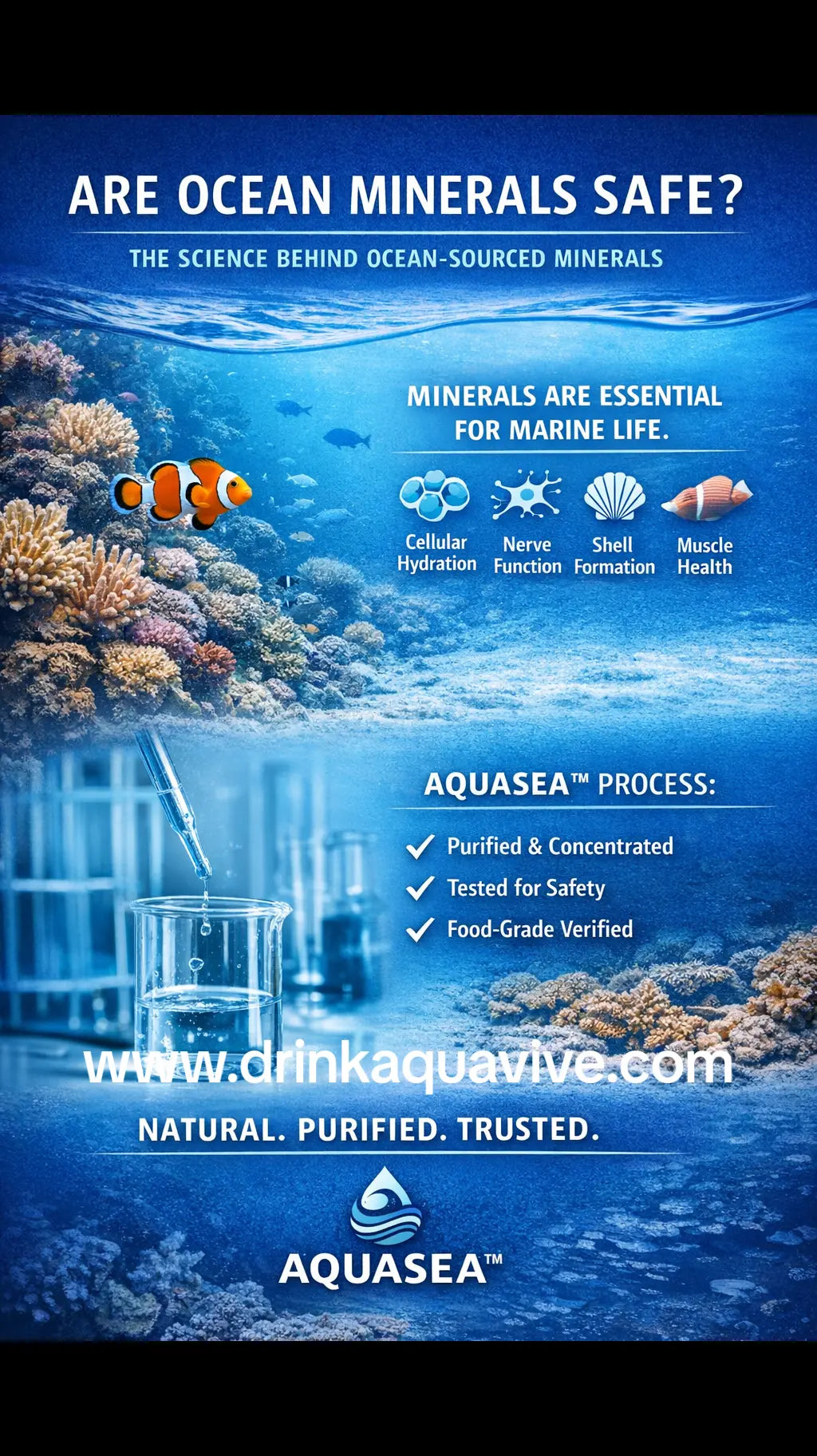 Ocean Minerals Science Facts