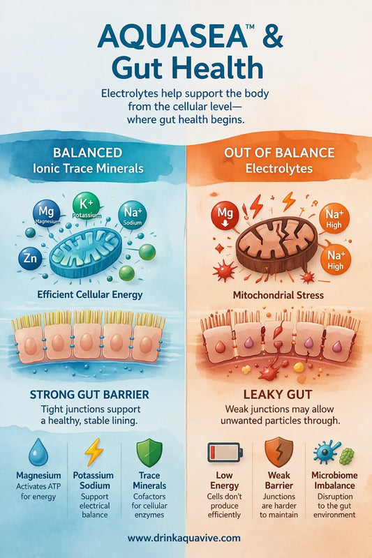 Electrolytes and Gut Health