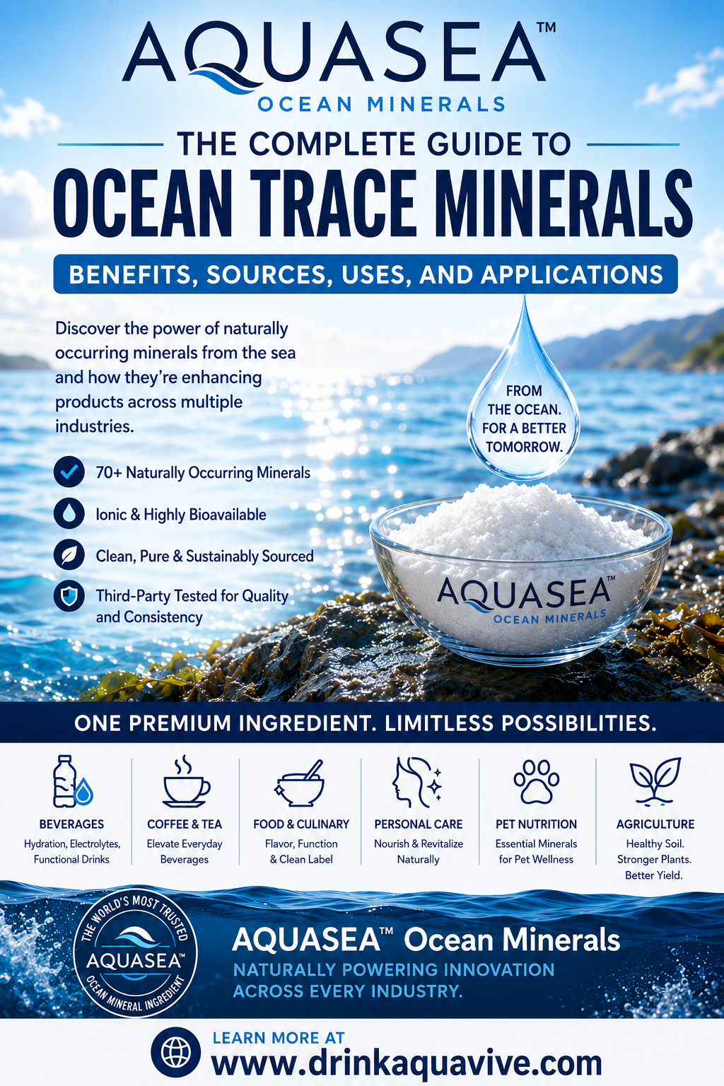 The Complete Guide to Ocean Trace Minerals: Benefits, Sources, Uses, and Applications