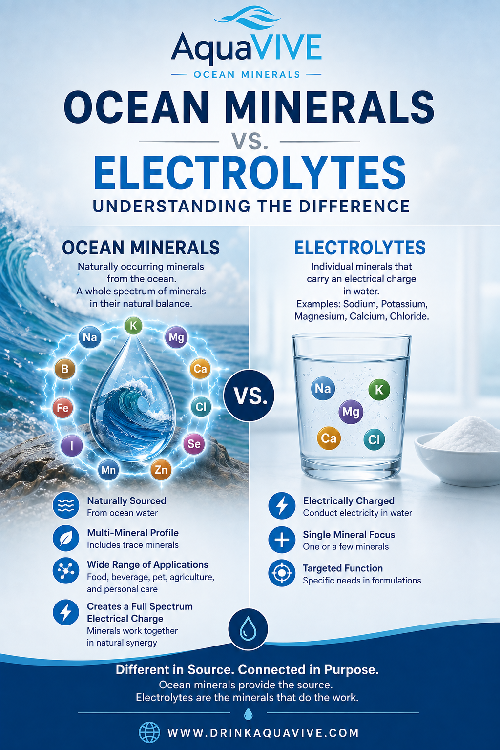 Ocean Minerals vs. Electrolytes: Understanding the Difference | AquaVIVE