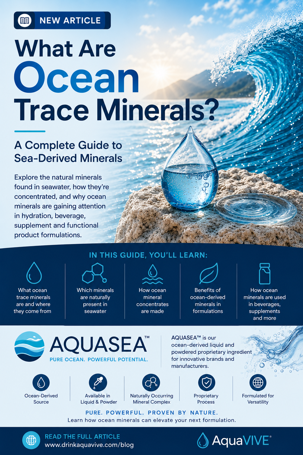 What Are Ocean Trace Minerals? A Complete Guide to Sea-Derived Minerals